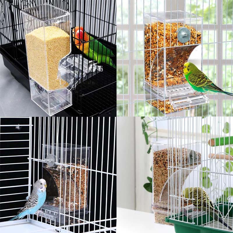 Automatic No-Spill Transparent Bird Feeder - Image 11