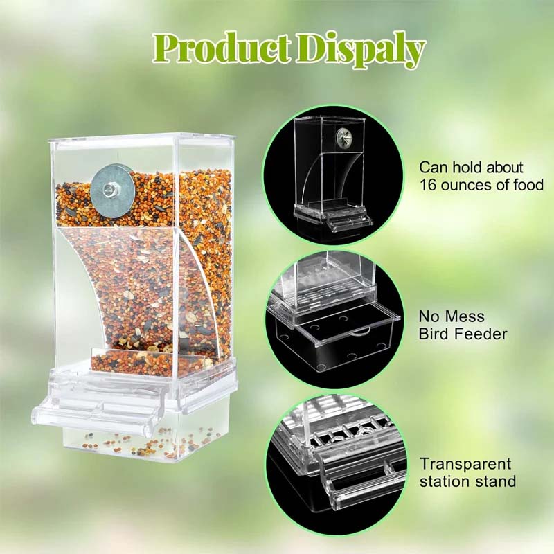 Automatic No-Spill Transparent Bird Feeder - Image 5