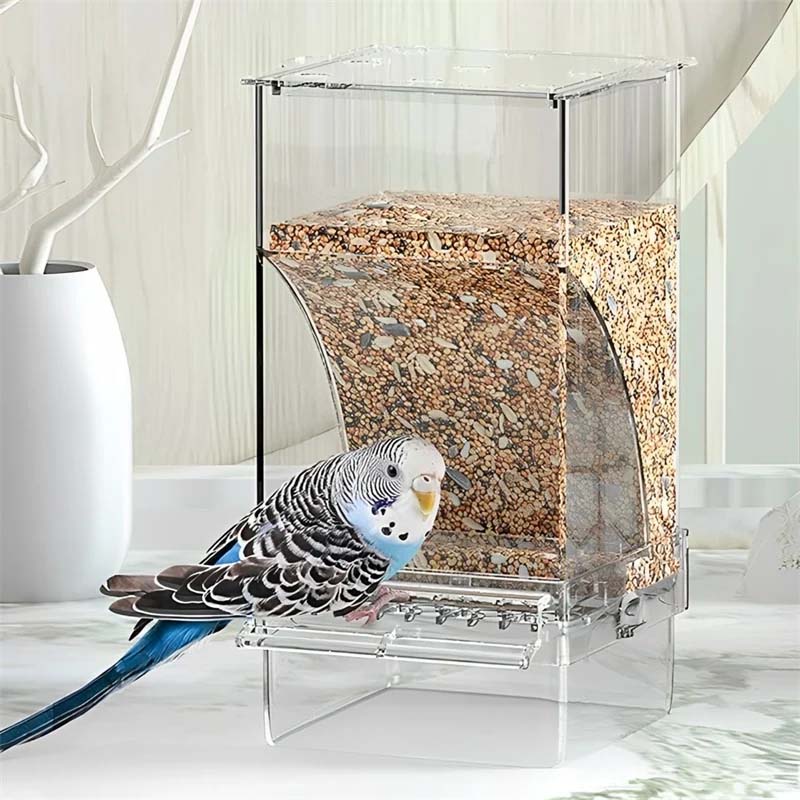 Automatic No-Spill Transparent Bird Feeder - Image 6