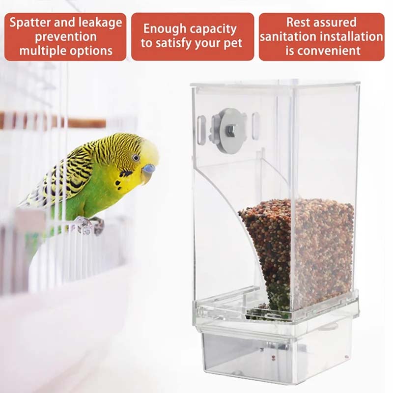 Automatic No-Spill Transparent Bird Feeder - Image 7