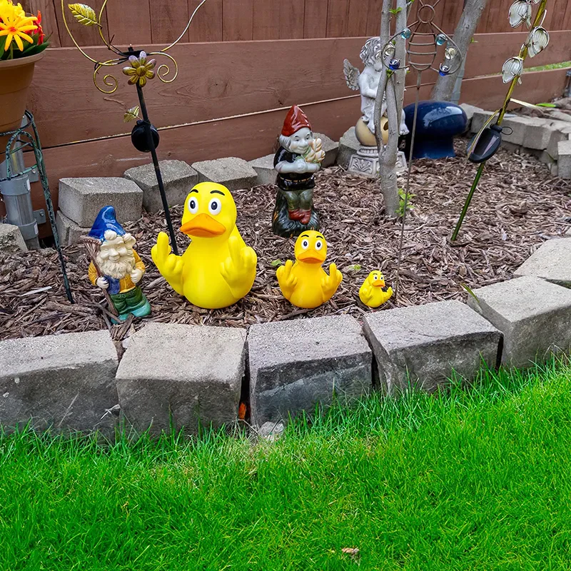 Middle Finger Duck - Image 6