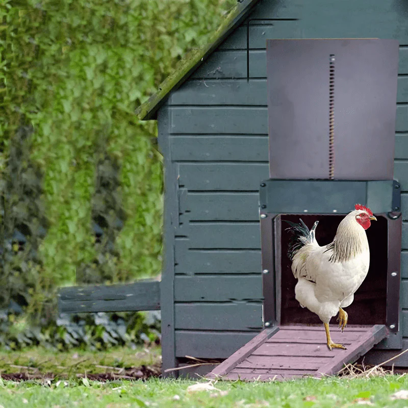 Poultry Farm Automatic Chicken House Door - Image 10