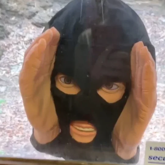 Scary Peeper Creeper - Image 10