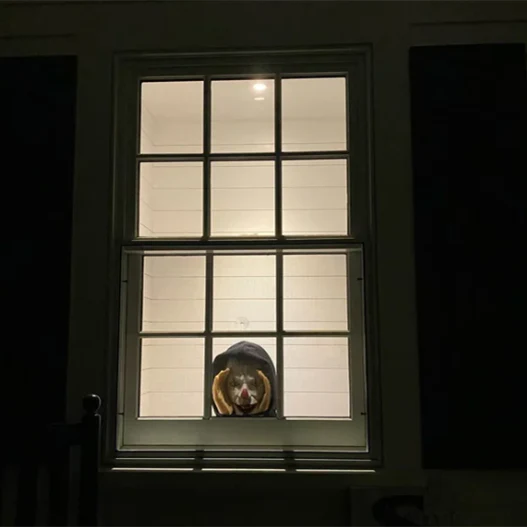 Scary Peeper Creeper - Image 7